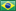 Português do Brasil